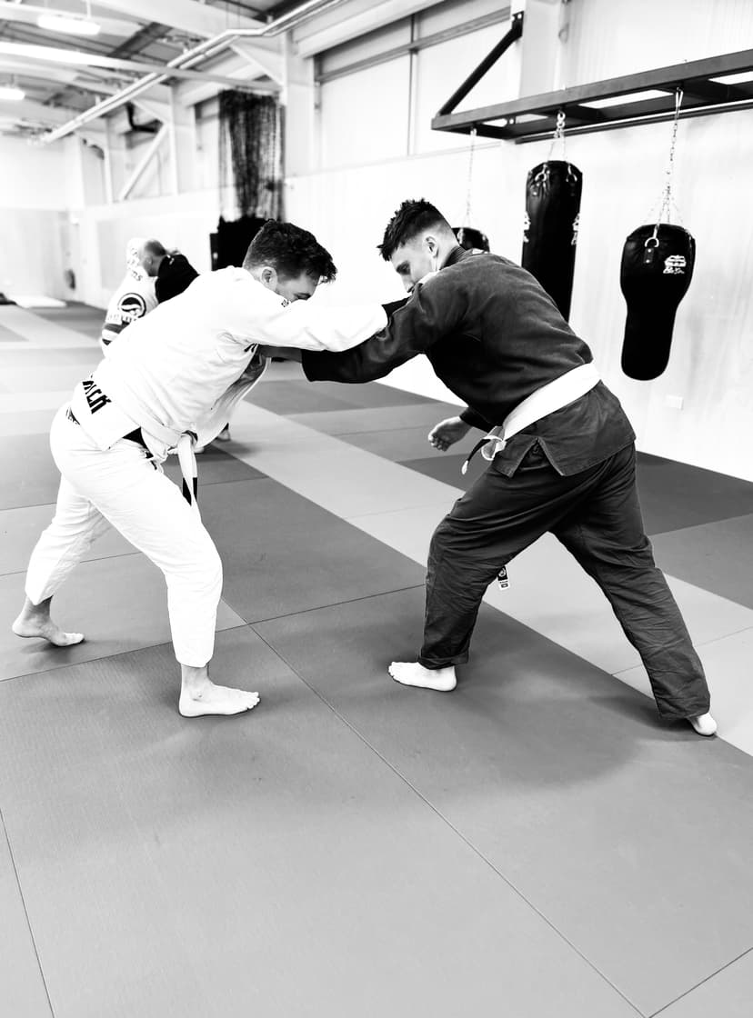 Jiu Jitsu Image